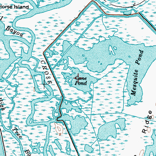 Topographic Map of Cane Pond, TX