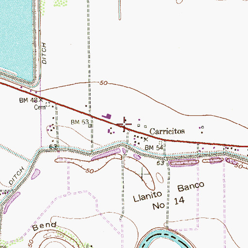 Topographic Map of Carricitos, TX