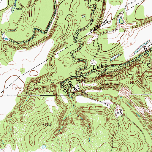 Topographic Map of Carroll Creek, TX