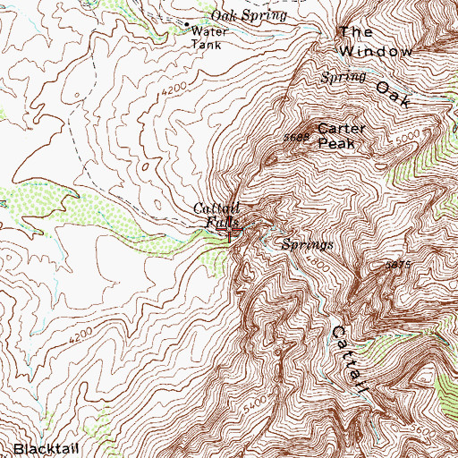 Topographic Map of Cattail Canyon, TX