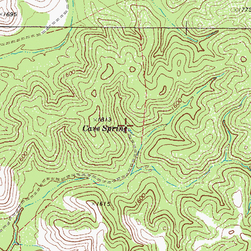 Topographic Map of Cave Spring, TX