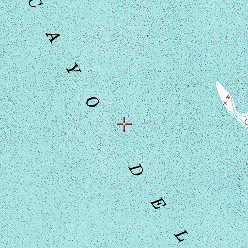 Topographic Map of Cayo del Grullo, TX