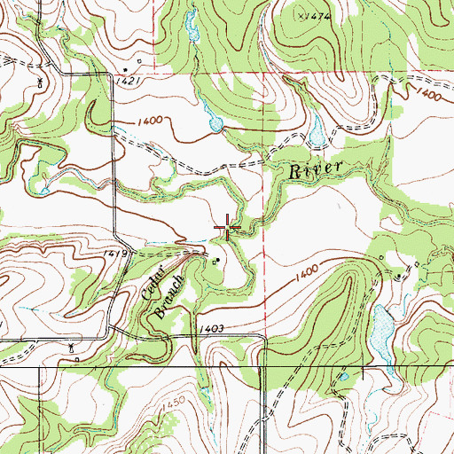 Topographic Map of Cedar Branch, TX