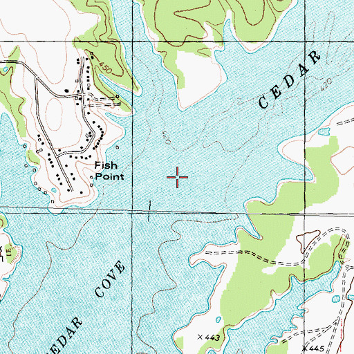 Topographic Map of Cedar Cove, TX