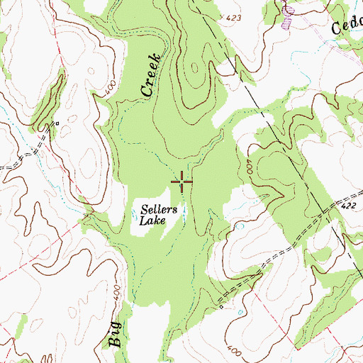 Topographic Map of Cedar Creek, TX