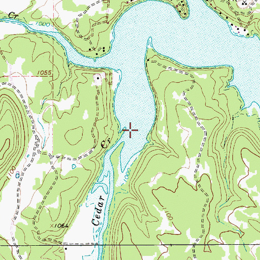 Topographic Map of Cedar Creek, TX