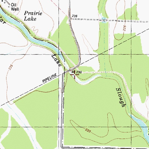 Topographic Map of Cedar Lake Slough, TX