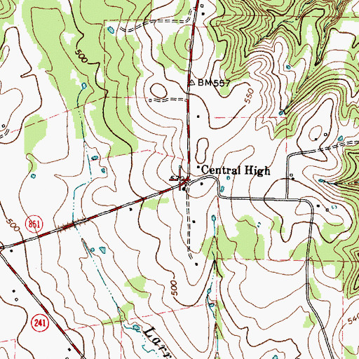 Topographic Map of Central High, TX