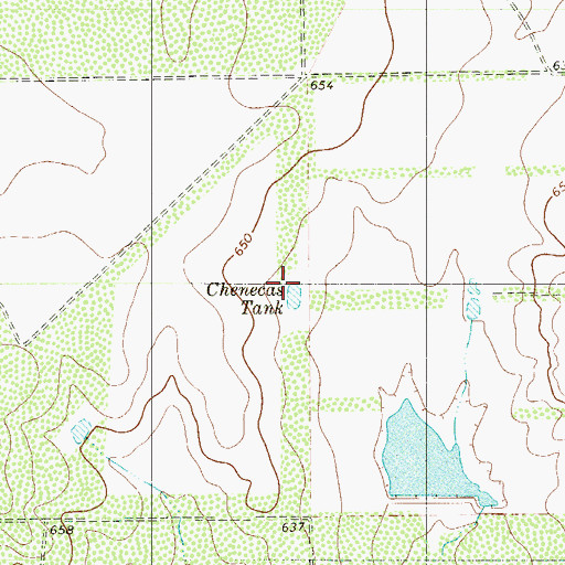 Topographic Map of Chenecas Tank, TX