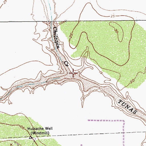 Topographic Map of Chiltipin Creek, TX