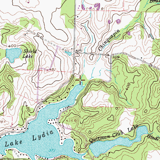 Topographic Map of Chinquapin Branch, TX