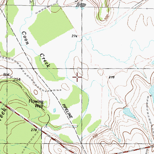 Topographic Map of Coon Creek, TX
