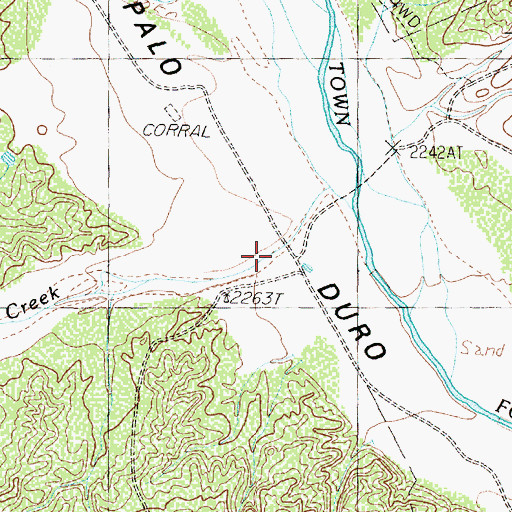 Topographic Map of Coon Creek, TX