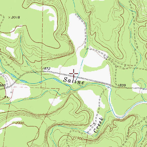 Topographic Map of Coon Hollow, TX