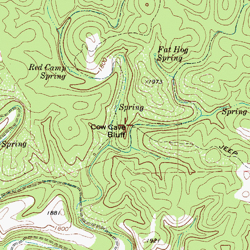 Topographic Map of Cow Cave Bluff, TX