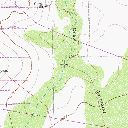 Topographic Map of Coyanosa Draw, TX