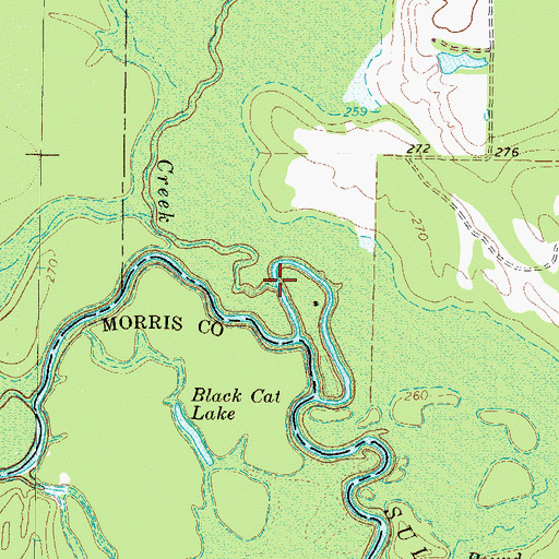 Topographic Map of Dalby Creek, TX