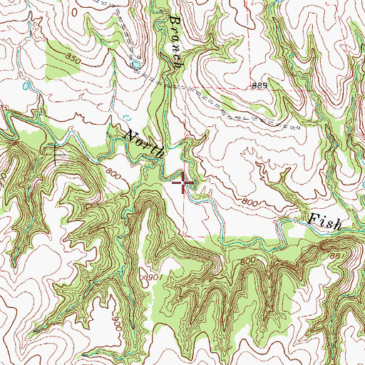 Topographic Map of Davenport Branch, TX