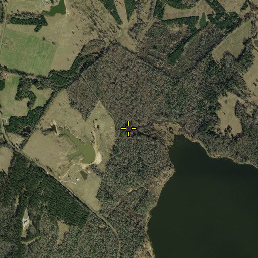 Aerial/Satellite Image of Davis Branch, TX