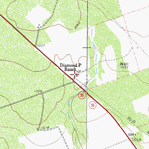 Topographic Map of Diamond P Ranch, TX