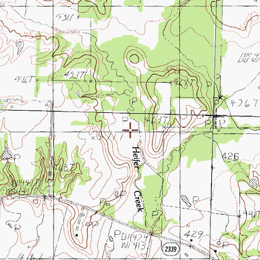Topographic Map of Diffy Creek, TX