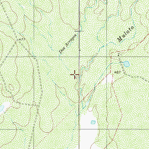 Topographic Map of Dos Arroyos, TX