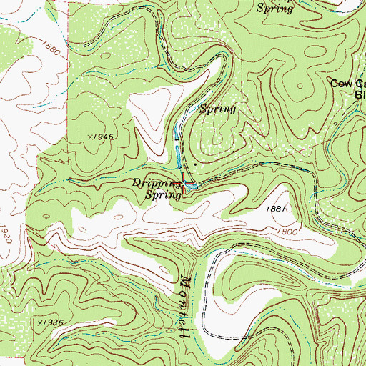 Topographic Map of Dripping Spring, TX