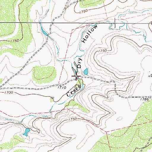 Topographic Map of Dry Hollow, TX