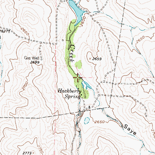 Topographic Map of Dry Sandy Creek, TX