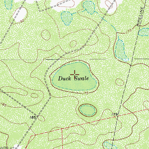 Topographic Map of Duck Swale, TX