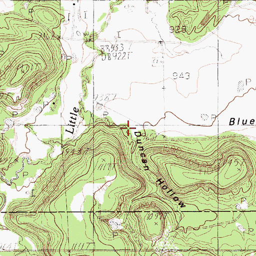 Topographic Map of Duncan Hollow, TX