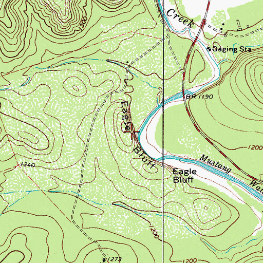 Topographic Map of Eagle Bluff, TX