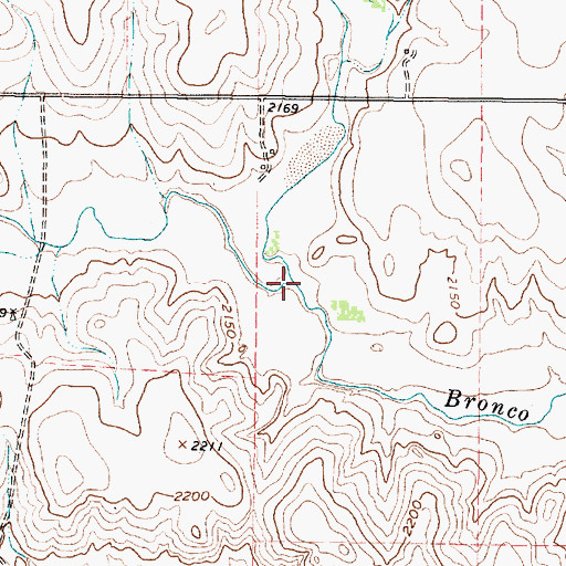 Topographic Map of East Branch Bronco Creek, TX