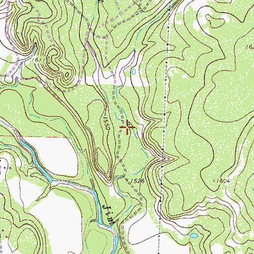 Topographic Map of East Fork Ranch Creek, TX