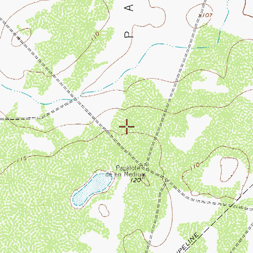 Topographic Map of Ebanito Pasture, TX