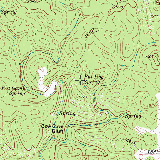 Topographic Map of Fat Hog Spring, TX