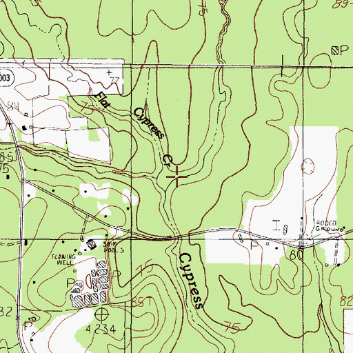 Topographic Map of Flat Cypress Creek, TX