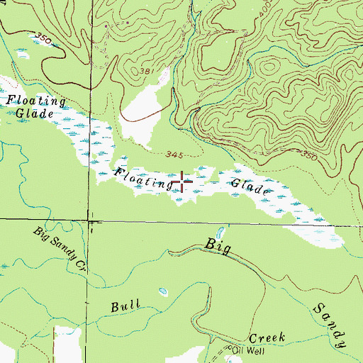 Topographic Map of Floating Glade, TX