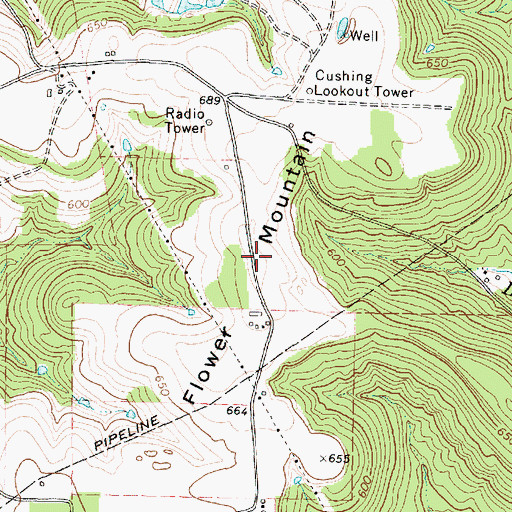 Topographic Map of Flower Mountain, TX