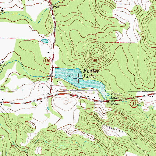 Topographic Map of Foster Lake, TX