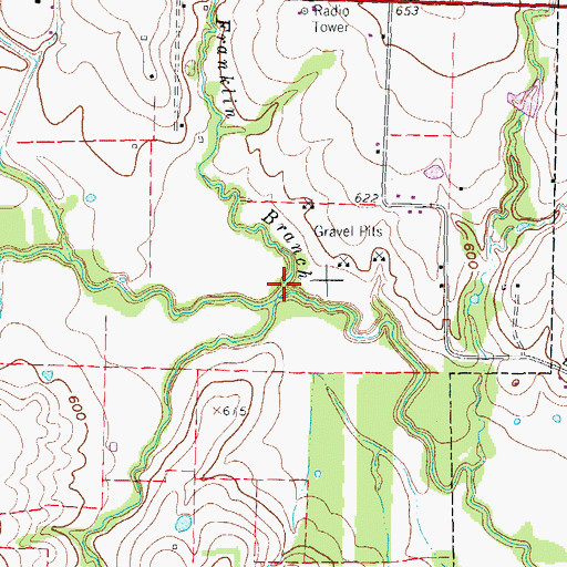 Topographic Map of Franklin Branch, TX