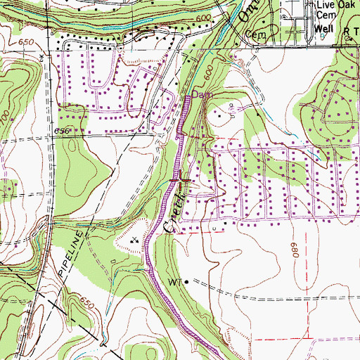 Topographic Map of Garlic Creek, TX