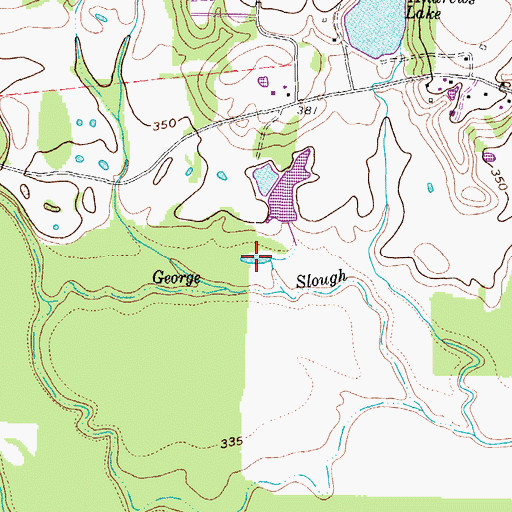 Topographic Map of George Slough, TX