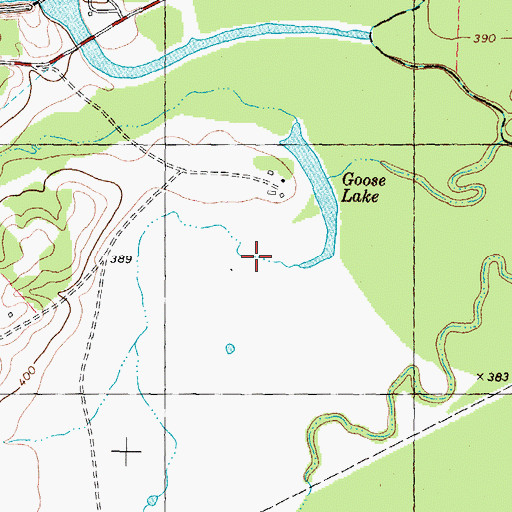 Topographic Map of Goose Lake, TX