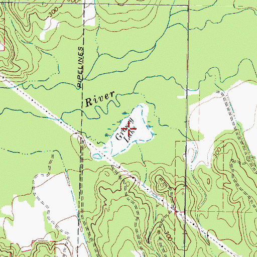 Topographic Map of Grassy Lake, TX