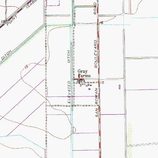 Topographic Map of Gray Farms, TX
