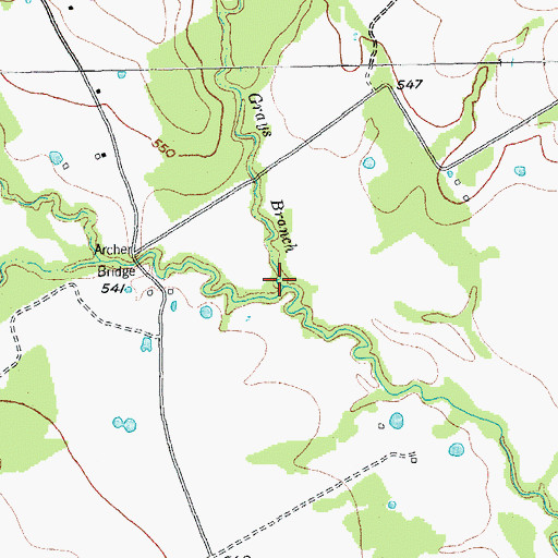 Topographic Map of Grays Branch, TX