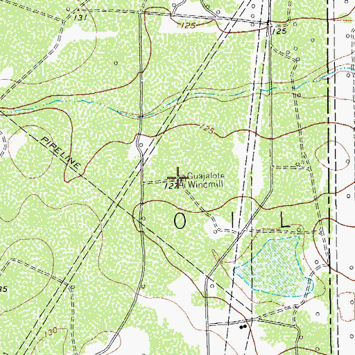 Topographic Map of Guajalote Windmill, TX