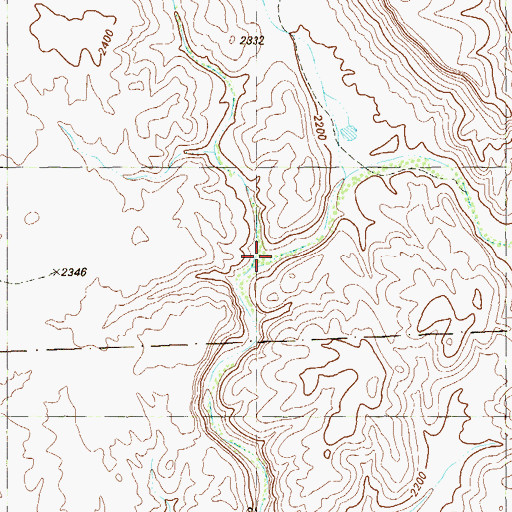 Topographic Map of Guayule Creek, TX