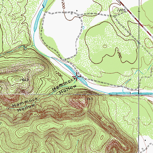Topographic Map of Hammock Hollow, TX